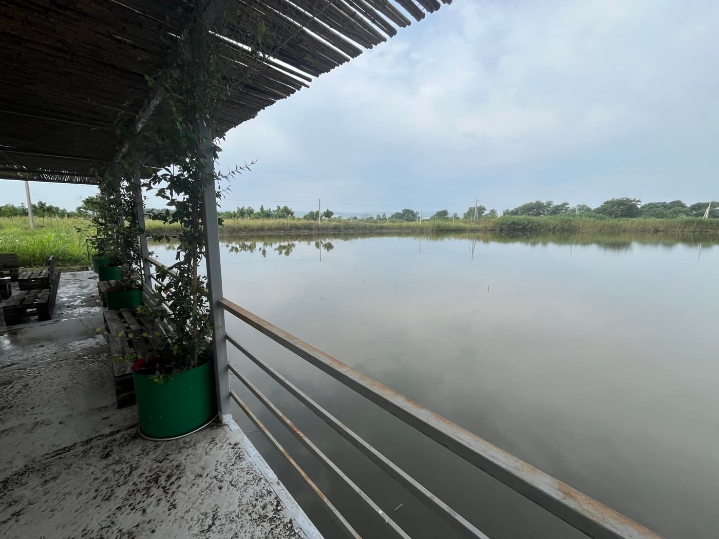Manavi Green Lakes view 10