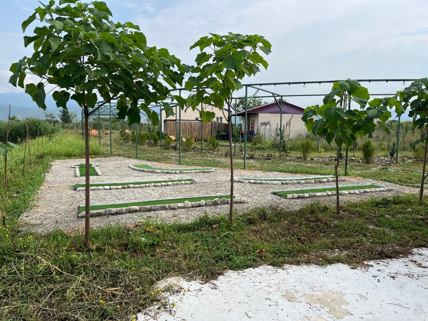 Manavi Green Lakes view 11