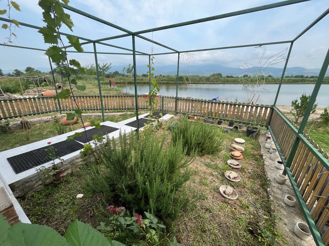 Manavi Green Lakes view 17