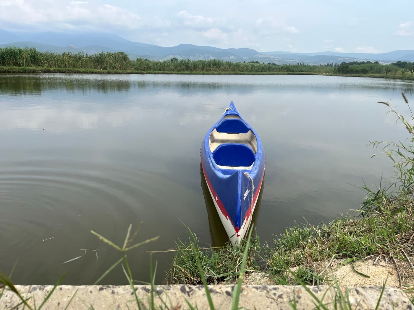 Manavi Green Lakes view 18