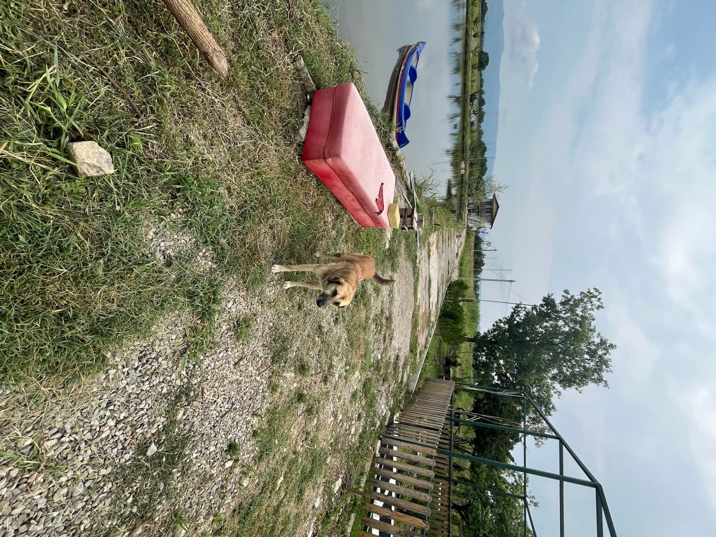 Manavi Green Lakes view 26